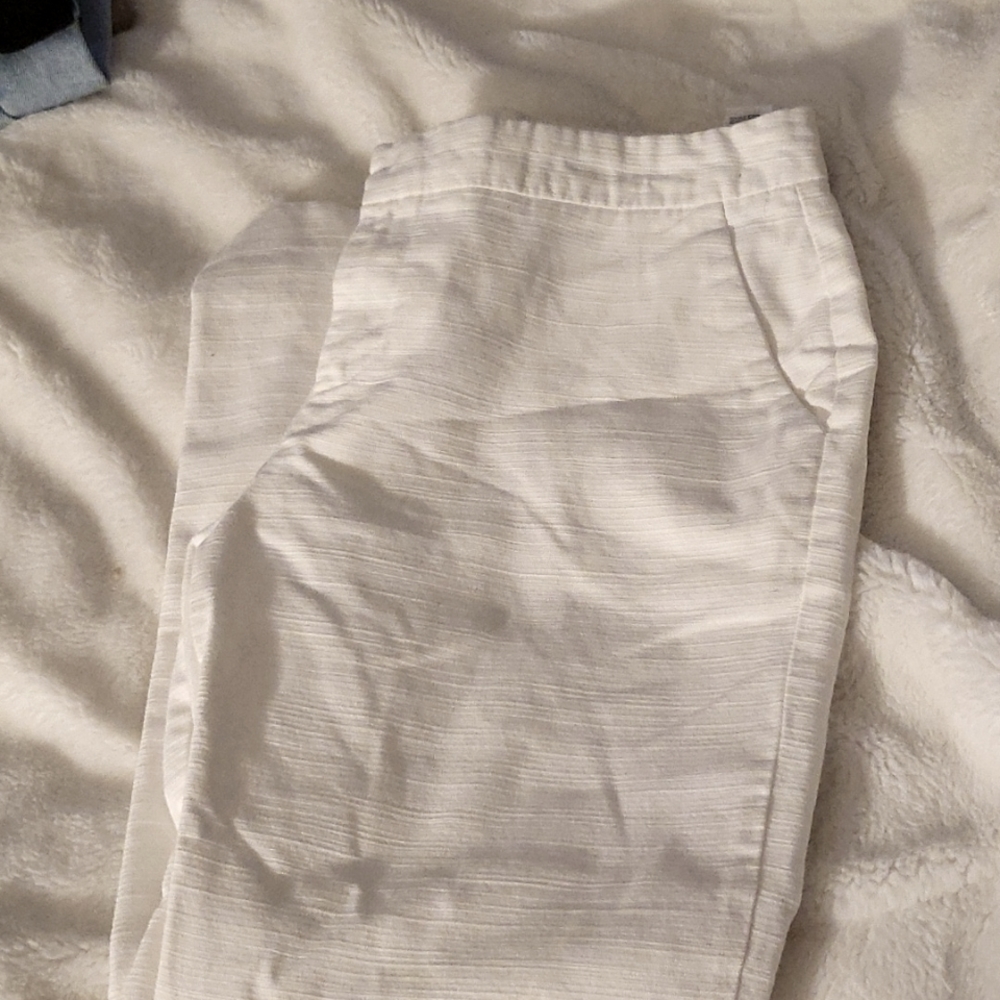 Dressy pants